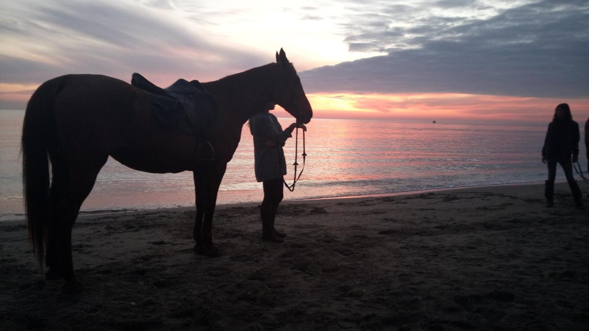 Appartamento 50 Mt Dal Mare Ostia Buitenkant foto